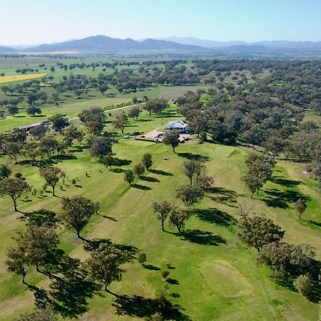 Quirindi Sunflower Motor Inn ภายนอก รูปภาพ