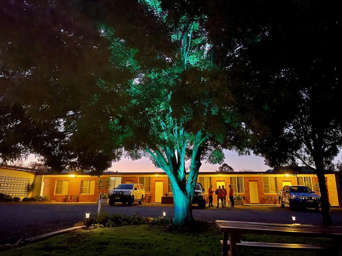 Quirindi Sunflower Motor Inn ภายนอก รูปภาพ