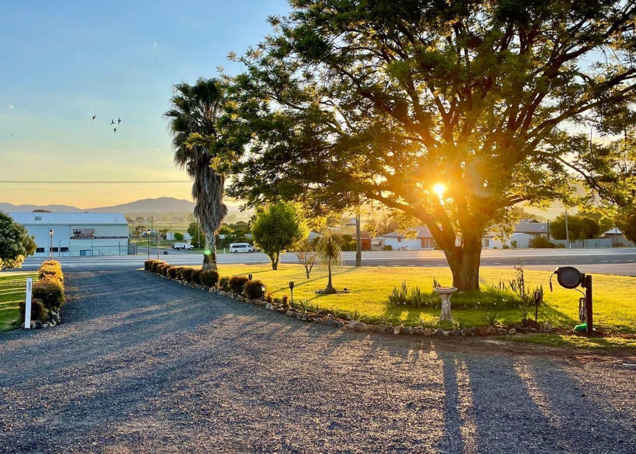 Quirindi Sunflower Motor Inn ภายนอก รูปภาพ
