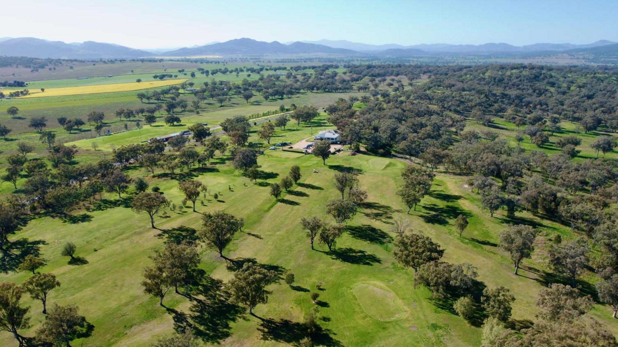 Quirindi Sunflower Motor Inn ภายนอก รูปภาพ