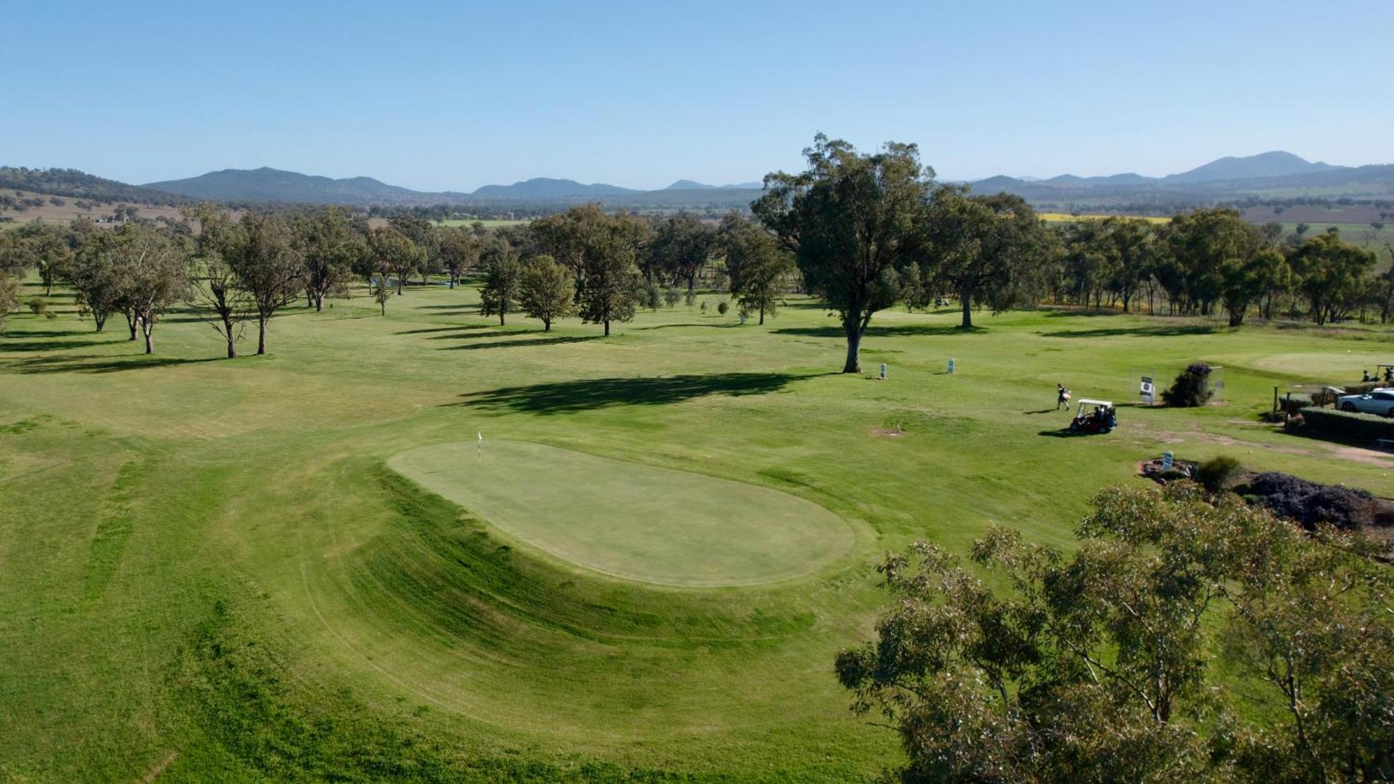 Quirindi Sunflower Motor Inn ภายนอก รูปภาพ
